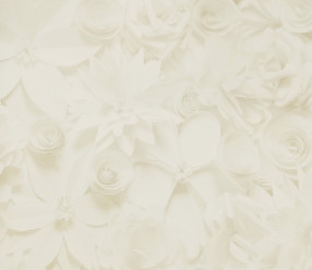 Обои BN International Tailor 217343
